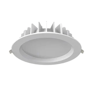 30W/40W 200MM CUTOUT EXTERNAL DRIVER LED DOWN(DL4001D-TC)