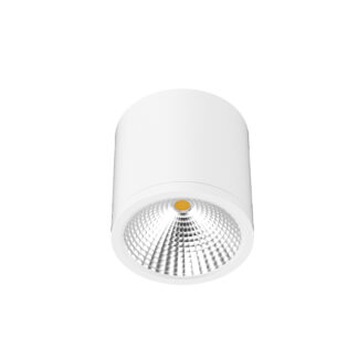 10W LED SURFACE MOUNT LIGHT (WHITE)